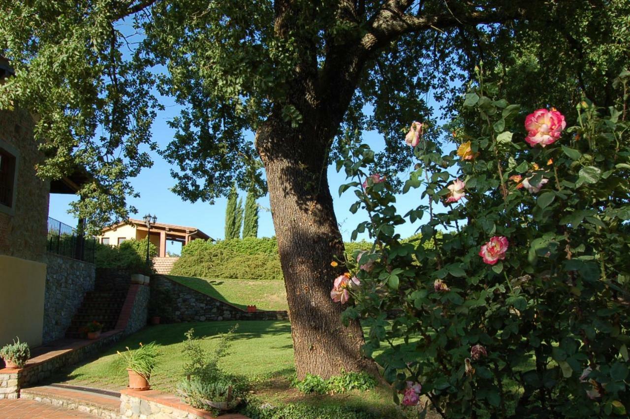 Agriturismo Il Palazzo Pergine Valdarno Εξωτερικό φωτογραφία